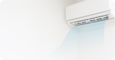 単品クリーニング